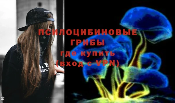 круглые Аркадак