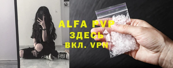 сатива Богородицк