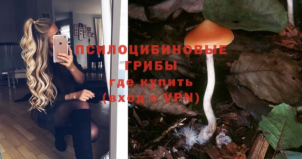 а пвп мука Армянск