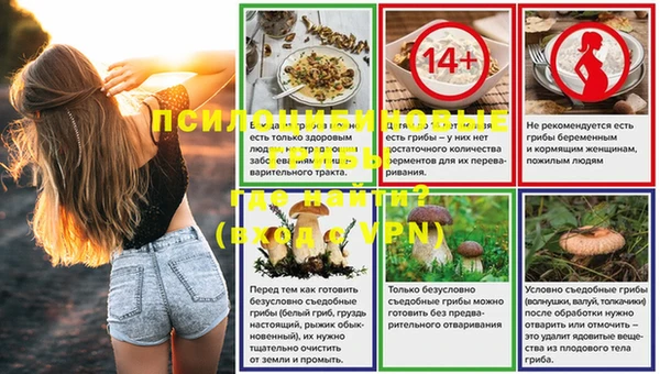 круглые Аркадак