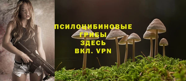 а пвп мука Армянск