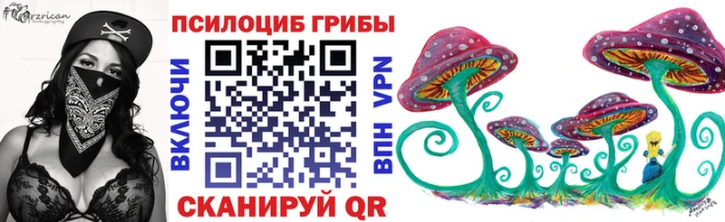 Псилоцибиновые грибы Psilocybine cubensis  где купить наркотик  Удомля 